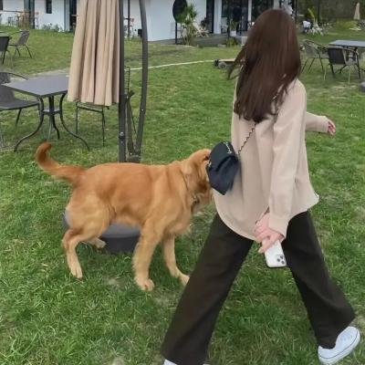 丹尼第一次做导演